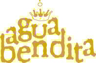 Agua Bendita swimwear